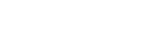 Converflex